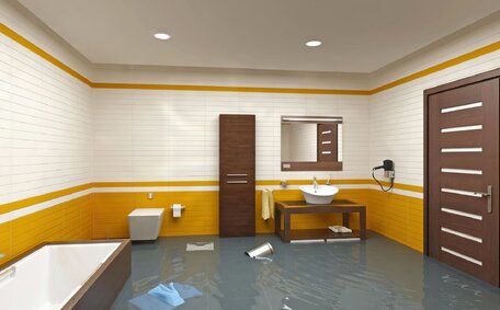 schedule pro plumbing inspection?